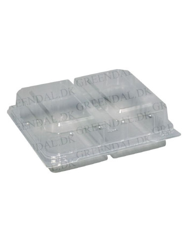 Plastic tray w/hinged lid 2-room sandwiches - 