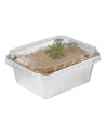 Foil tray w/ rolll.edge 140ml 14x100pc/box - 