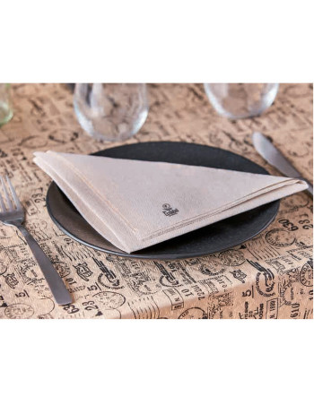 Napkin Eco Nature 40x40cm 2-layer 1/4 fold  1200pc/box -  2