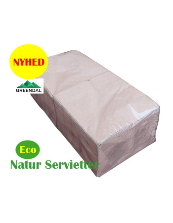 Napkin Eco Nature 40x40cm 2-layer 1/4 fold  1200pc/box - 