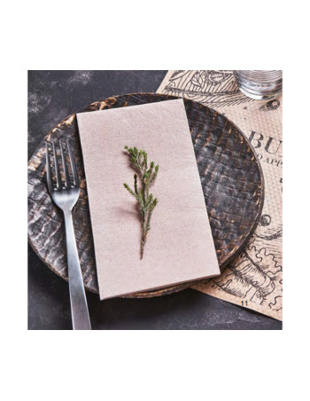 Napkin Eco Nature 33x33cm 2-layer 1/8 fold  2000pc/box -  2